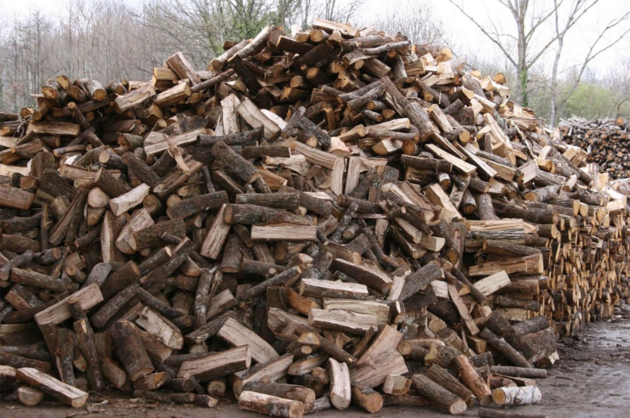 Bardage 65, Bardage Gers, Bardage Tarbes, Bois de chauffage 65, Bois de chauffage Gers, Bois de chauffage Tarbes, Exploitation forestière 65, Exploitation forestière Gers, Exploitation forestière Tarbes, Granulés 65, Granulés Gers, Granulés Tarbes, Lambris 65, Lambris Gers, Lambris Tarbes, Parquet 65, Parquet Gers, Parquet Tarbes, Scierie 65, Scierie Gers, Scierie Tarbes, Terrasse bois 65, Terrasse bois Gers, Terrasse bois Tarbes